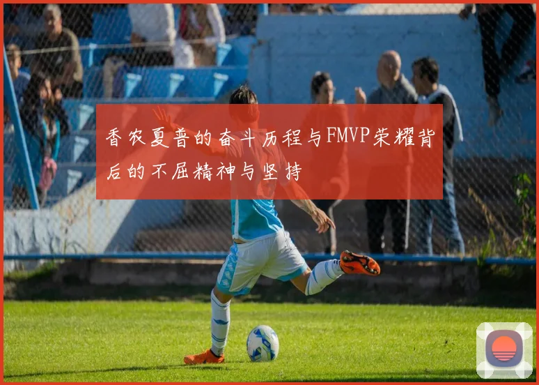 香农夏普的奋斗历程与FMVP荣耀背后的不屈精神与坚持