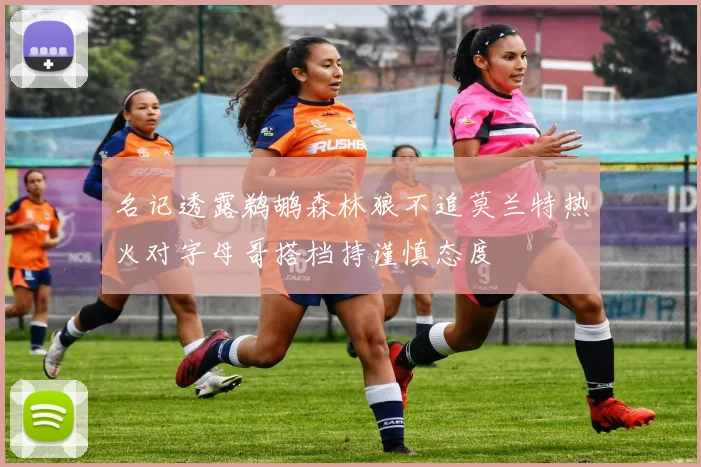 名记透露鹈鹕森林狼不追莫兰特热火对字母哥搭档持谨慎态度